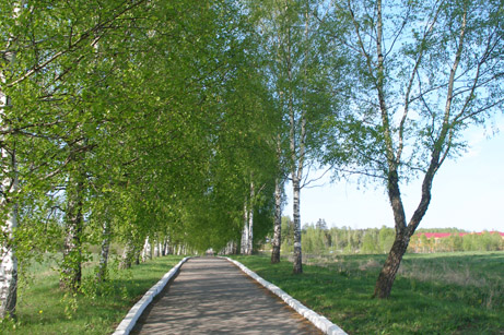 Май 2008 Подмосковье